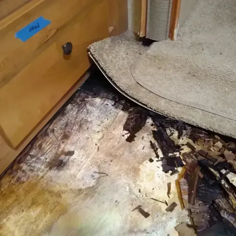 Best Wood Floor Water Damage Service in Jan-Phyl Village, FL